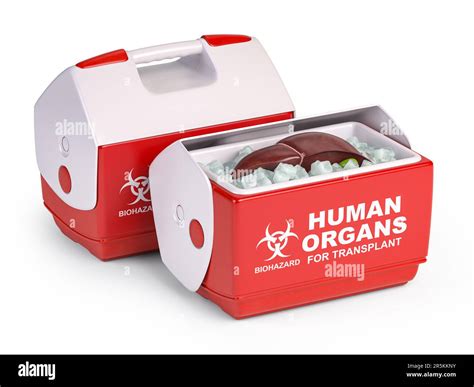 human organ transplant metal storage box|heart transplant technology.